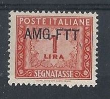 1949-54 TRIESTE SEGNATASSE 1 £ MH * - RR8049 - Taxe