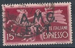 1947-48 TRIESTE A USATO ESPRESSO 15 LIRE - RR8322-3 - Express Mail