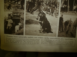 1916 LE MIROIR: Le Chien-mascotte Fume La Pipe;Prisonniers Hameln;Ypres;Aviateurs Fr Internés à Hospenthal,Andermat;etc - Français