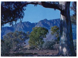 (110) Australia - SA - Flinders Ranges - Flinders Ranges