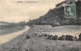 62-DESVRES- LA CÔTE DES COURTEAUX - Desvres