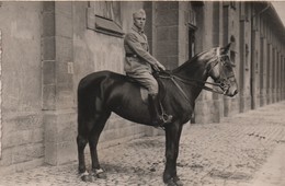 Photo Carte Postale Ancienne / Militaire à Cheval / 1914-1918         PHOTN389 - Guerre, Militaire