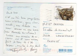 Beau Timbre , Stamp  " Poissons Migrateurs " Sur CP , Carte , Postcard Du 24/08/2011 - Lettres & Documents