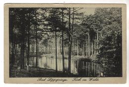 +  1152,  Bad Lippspringe,  Teich Im Walde, Feldpost - Bad Lippspringe