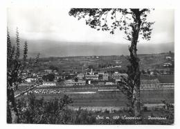 Delcampe - SOCI - PANORAMA  -  VIAGGIATA FG - Arezzo