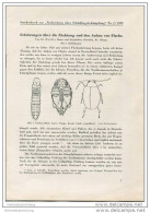 Sonderdruck Aus Nachrichten über Schädlingsbekämpfung Nr. 2 1939 -Erfahrungen über Die Züchtung Und Den Anbau Von Flachs - Natura