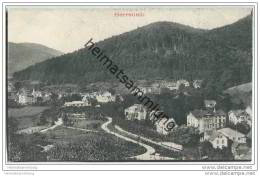 Herrenalb - Gesamtansicht - Bad Herrenalb