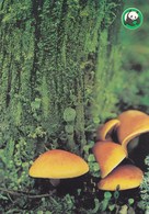 Mushroom - Champignon - Paddestoel - Pilz - Fungo - Cogumelo - Seta - Svamp - Lahottajasieni - WWF Panda Logo - Paddestoelen