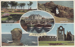 United Kingdom PPC Scotland Arbroath A.T.W.Dennis & Sons ARBROATH Angus 1959 (2 Scans) - Angus