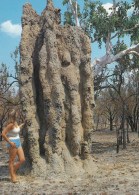 Giant Ant Hill, Northern Territory Unused - Sin Clasificación