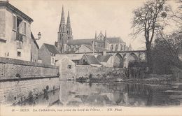 Cp , 61 , SEES , La Cathédrale, Vue Prise Du Bord De L'Orne - Sees