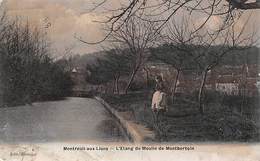 Montreuil Aux Lions     02         L’Étang Du Moulin De Montbertoin     (voir Scan) - Other & Unclassified