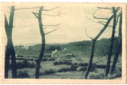 ***  85  ***  LA TRANCHE SUR MER  La Forêt La Dune -  TTB Timbrée - La Tranche Sur Mer