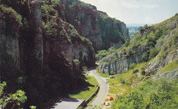 United Kingdom PPC The Gorge, Cheddar (2 Scans) - Cheddar