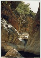 Australien, Northern Flinders Ranges - Flinders Ranges