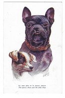 CHIEN BOULEDOGUE Carte Illustrée Par WUYTS - Cani