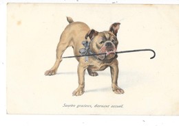 CHIEN BOULEDOGUE à La Canne Carte Illustrée - Hunde