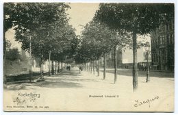 CPA - Carte Postale - Belgique - Bruxelles - Koekelberg - Boulevard Léopold II - 1902  ( SV5425 ) - Koekelberg