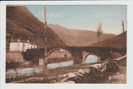 BIDARRAY - PYRENEES ATLANTIQUES - LE PONT - Bidarray