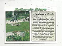 Cp, LE SANGLIER DE LA LEGENDE , 64 ,SALIES DE BEARN , Voyagée , Ed. Artaud - Märchen, Sagen & Legenden