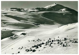 ALP DIL PLAUN EMSER SKIHUTTE MIT FAULHORN - Domat/Ems