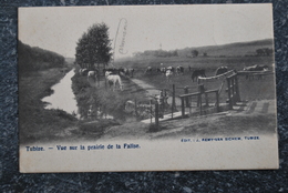 1449/ TUBIZE - Vue Sur La Prairie De La Falise - Tubize