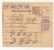 Austria Post-Begleitadresse Nachname Postal Stationery 1894 Wien To Pakrac B180910 - Storia Postale