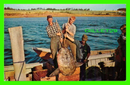 STANLEY BRIDGE, PEI - OCEAN SUNFISH CAUGHT BY GEORGE CARR - ISLAND WHOLESALE - - Sonstige & Ohne Zuordnung