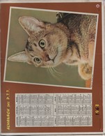 Almanach Des PTT/ Corréze/ Chat  Et Cheval / Oberthur/ Rennes / 1963       CAL396 - Big : 1961-70