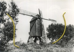 Lembeke :  De Molen  -  Windmolen  (  Grand Format 15 X 10 Cm ) - Kaprijke