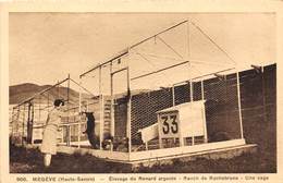 74-MEGEVE- ELEVAGE DU RENARD ARGENTE- RANCH DE ROCHEBRUNE - UNE CAGE - Megève