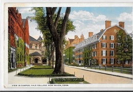 18-175- CPA NEW HAVEN, YALE COLLEGE, Voyagée, Angles écornés - New Haven