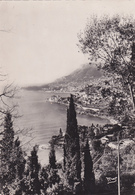 MONACO,DYNASTIE DES GRIMALDI,CARTE PHOTO EDITION MAR - Sonstige & Ohne Zuordnung