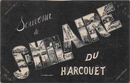 50-SAINT-HILAIRE-DU-HARCOUET- SOUVENIT - Saint Hilaire Du Harcouet