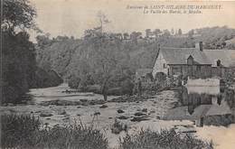 50-SAINT-HILAIRE-DU-HARCOUËT- LA VALLEE DES BIARDS, LE MOULIN - Saint Hilaire Du Harcouet