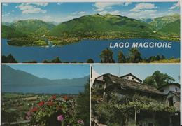 Vista Del Lago Maggiore Dai M. Di Fosano - Tenero - Photo: Garbani - Tenero-Contra