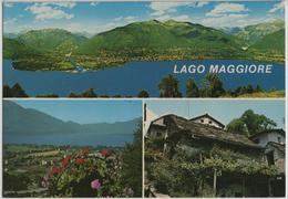 Vista Del Lago Maggiore Dai M. Di Fosano - Tenero - Photo: Garbani - Tenero-Contra