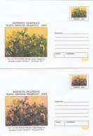 ERRORS, DIFFERENT COLOURS, INDEPENDENCE WAR, COVER STATIONERY, ENTIER POSTAL, 2X, 2002, ROMANIA - Plaatfouten En Curiosa