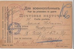 PRISONER OF WAR MAIL, SENT FROM CAMP KAMIANETS-PODILSKYI, WW1, RED CROSS, CENSORED VIENNA, POSTCARD, 1917, RUSSIA - Briefe U. Dokumente