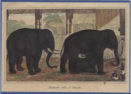 éléphant Non Circulé Dos Neutre Non Imprimé Litho Document Ancien Inde India - Elephants