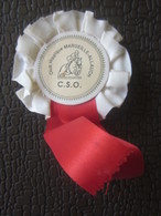 Sport Equitation TROPHÉE BADGE APPARAT CLUB HIPPIQUE MARSEILLE ALLAUCH 13 Autres Collections TROPHY INT --GEMENOS - Hipismo