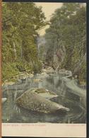 °°° 12197 - WALES - FAIRY GLEN - BETTWYS Y COED °°° - Caernarvonshire