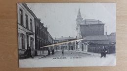 AVELGHEM - La Station 1905 - Avelgem