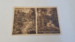 ANTIQUE POSTCARD AFRICA PORTUGAL SÃO TOME E PRINCIPE - ROÇA RIBEIRA PEIXE RIO UNUSED - Sao Tome Et Principe