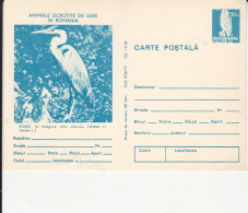 73027- GREY HERON, KESTREL, BIRDS, POSTCARD STATIONERY, 1977, ROMANIA - Pélicans