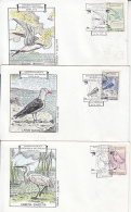 73036- TERN, GULL, EGRET, MERGANSER, LAPWING, DUNLIN, SKUA, GODWIT, AVOCET, SPECIAL COVER, 10X, 1993, ROMANIA - Albatros