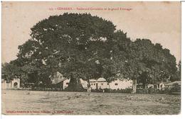 CONAKRY - Boulevard Circulaire Et Le Grand Fromager - Frans Guinee