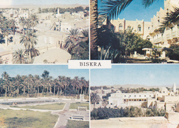 AFRIQUE DU NORD,ALGERIE,BISKRA - Biskra