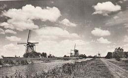 HOLLANDSE MOEL KINDERDIJK - Kinderdijk