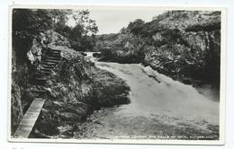 Scotland Postcard Rp Salmon Leaping Falls Of Shin Suthertland Unusedpubl. J.b.white - Sutherland